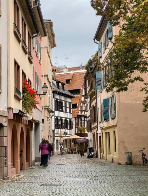 Apartmán Le Jardin Paisible-Proche Centre Obernai Exteriér fotografie